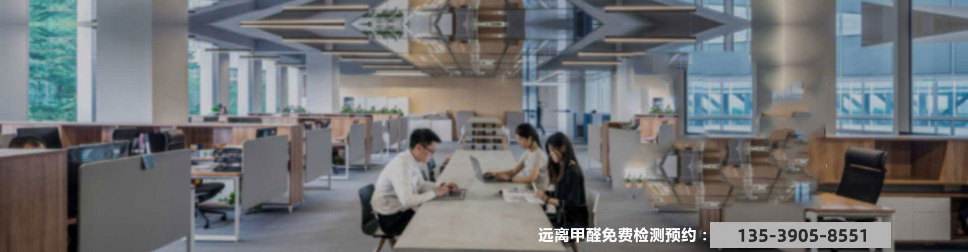 除甲醛公司